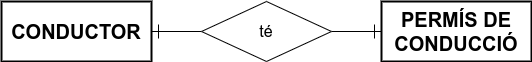 Relació 1 a 1 entre Conductor i Permís de conducció