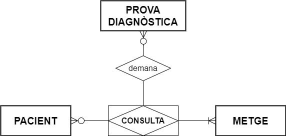 Relació entre Metge, Pacient i Prova