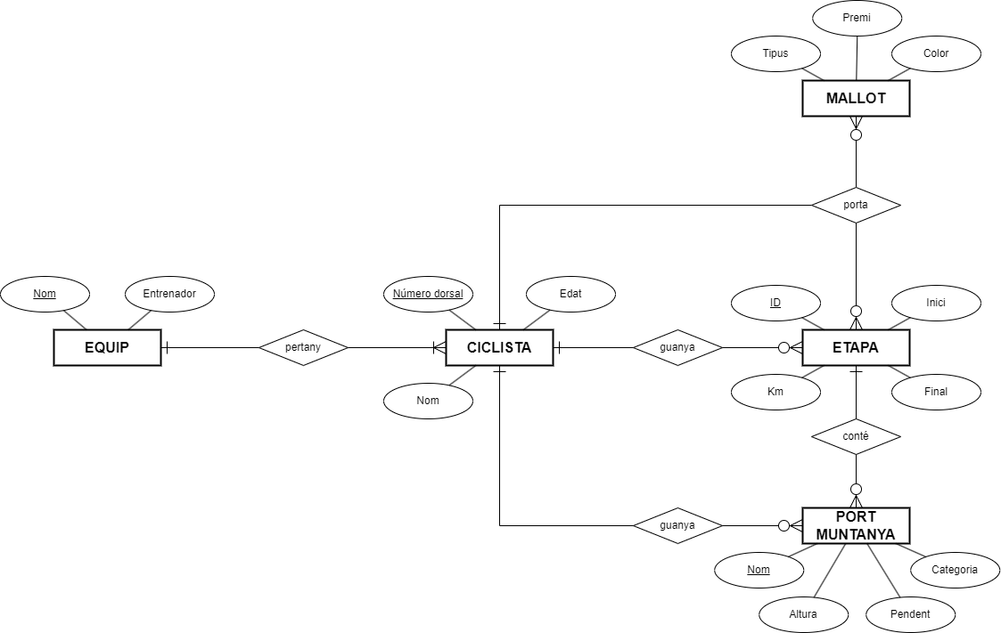 Diagrama Entitat Relació Ciclisme